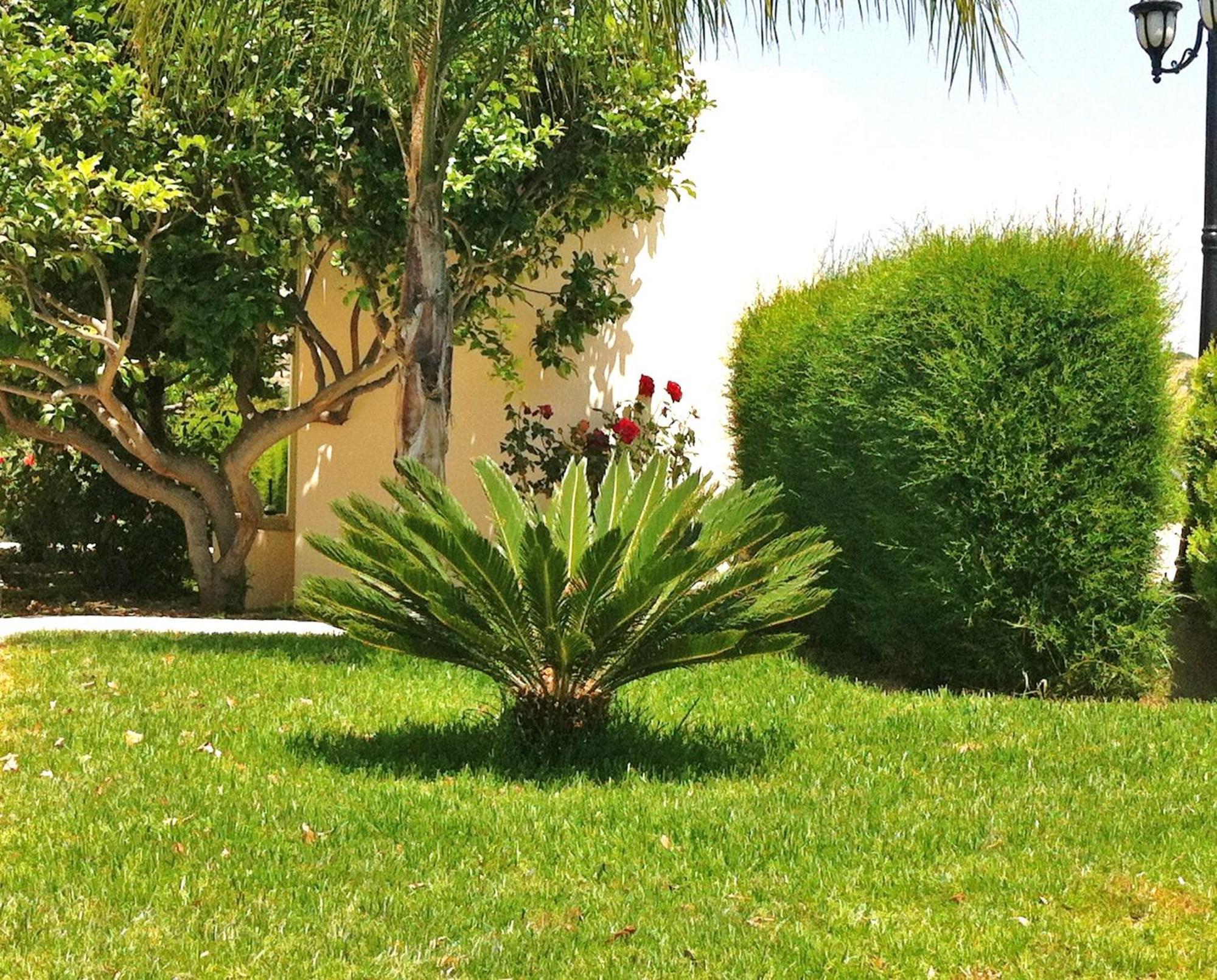 Himonas Apartments Pissouri Bagian luar foto