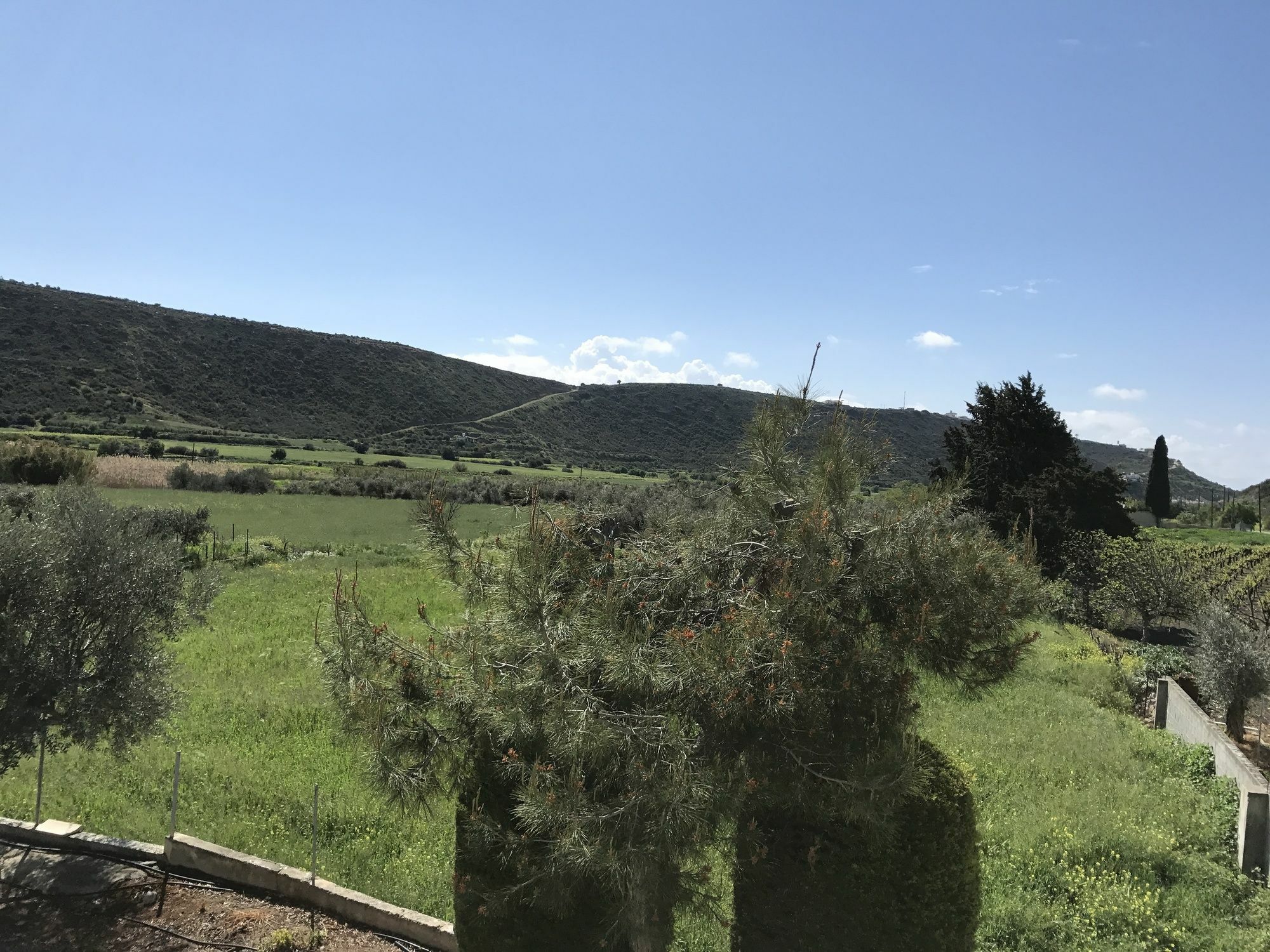 Himonas Apartments Pissouri Bagian luar foto
