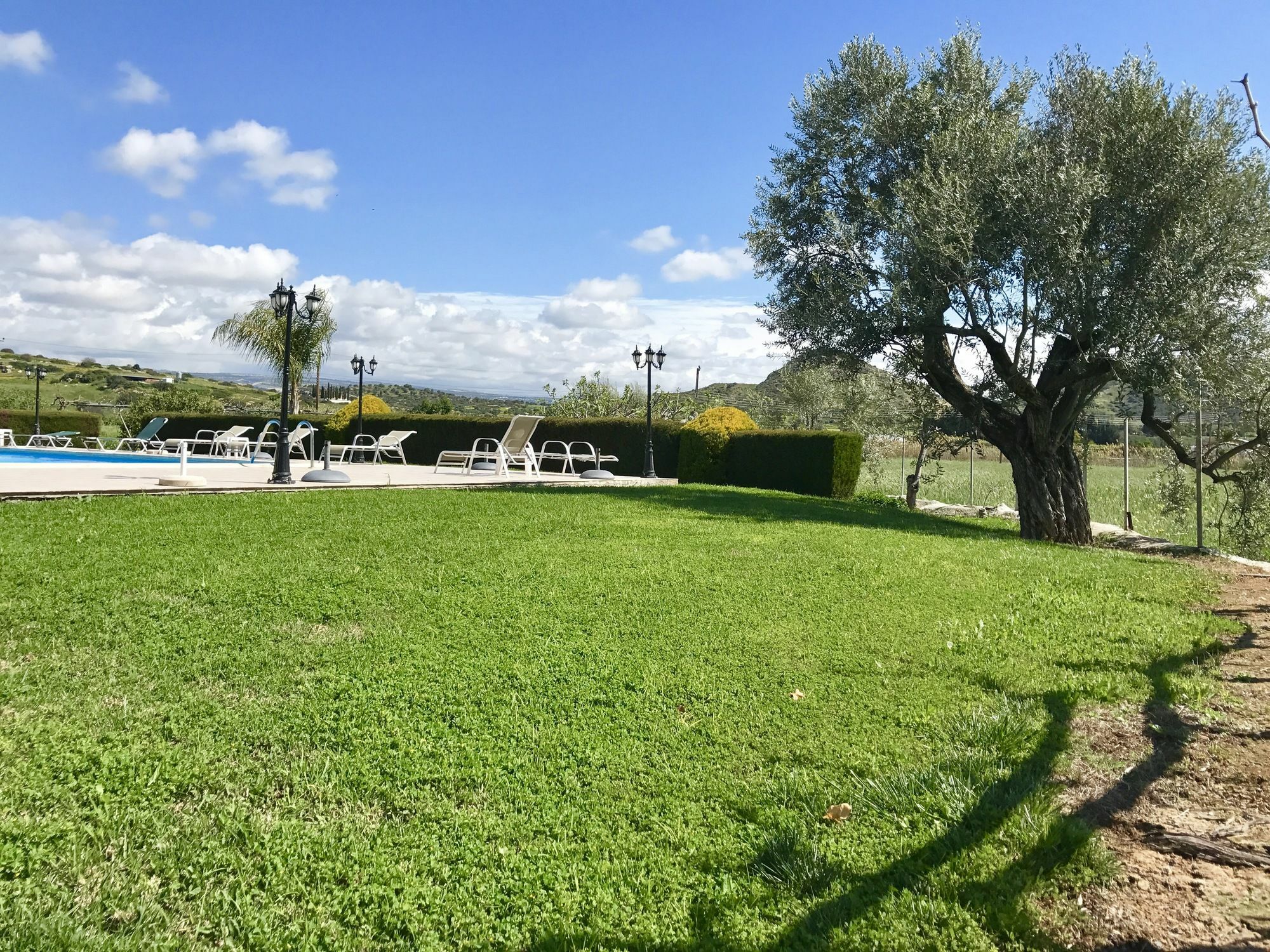 Himonas Apartments Pissouri Bagian luar foto