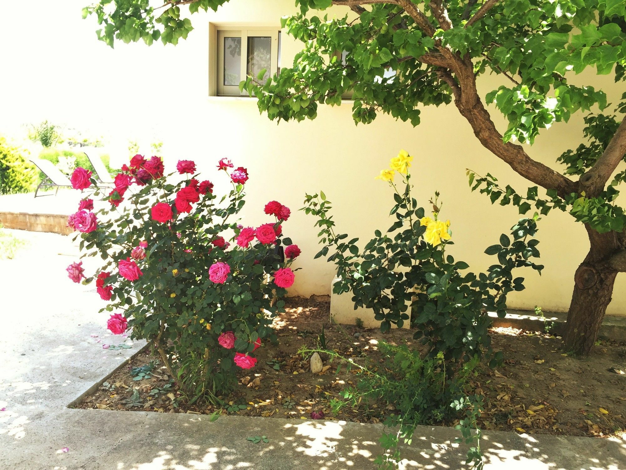 Himonas Apartments Pissouri Bagian luar foto