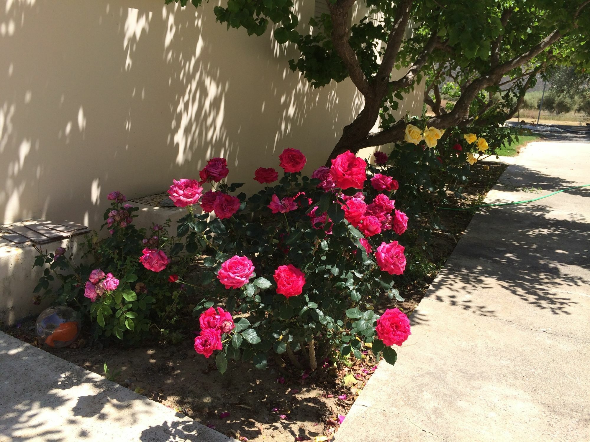 Himonas Apartments Pissouri Bagian luar foto